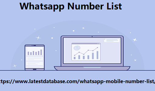 Whatsapp Number List