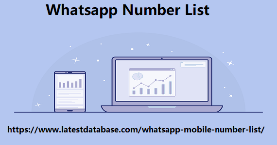 Whatsapp Number List