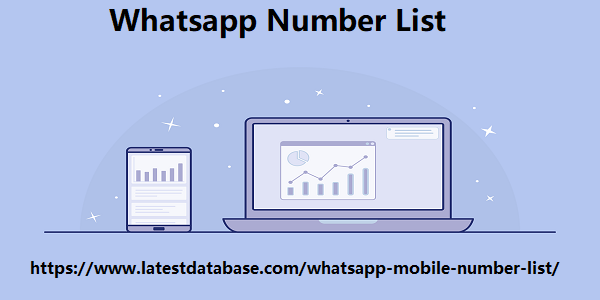 Whatsapp Number List