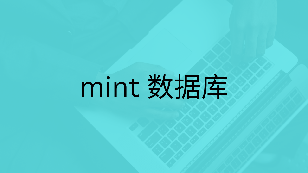 mint 数据库